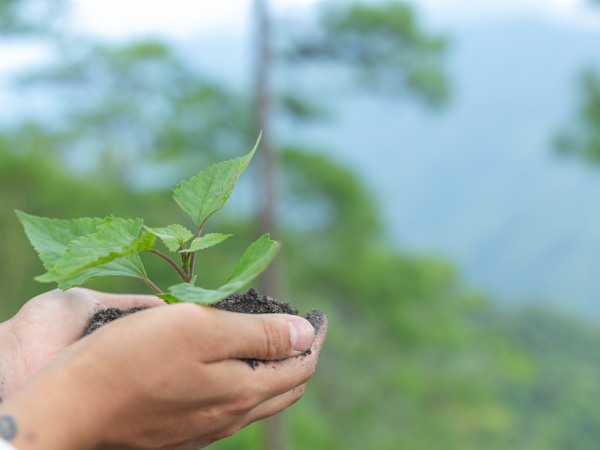 Implementation of FRA